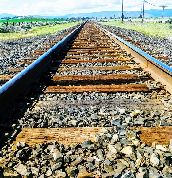 Closet Closing- OFFERS WELCOME - 20% GOES TO POSH ! SELLING CLOSET 📌 - Picture 13 of 16